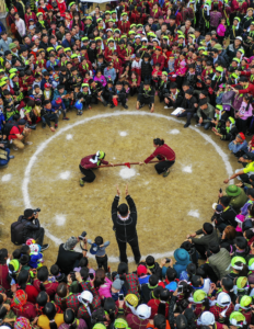 Top 5 ảnh Bìa đẹp nhất – Nguyễn Việt Hồng