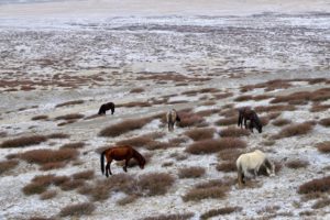 Vietnam Airlines lan tỏa thông điệp “Việt Nam hạnh phúc” từ bầu trời