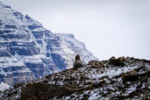 Kailash – đỉnh tuyết sơn huyền thoại