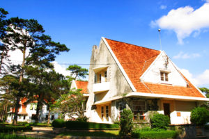 Nét đẹp dưới tán thông