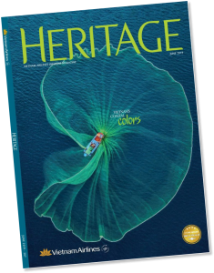 Phim Tết Việt qua các thời kỳ và sự thay đổi văn hóa đón năm mới