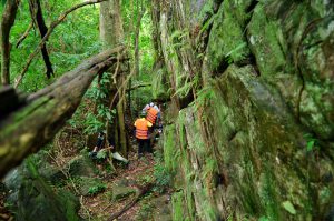 Phong Nha – Kẻ Bàng – Nơi ghi nhận nhiều loài động, thực vật mới đầu thế kỷ 21