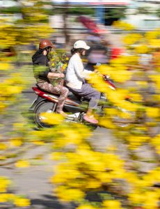 30- Hoa tết – Nguyễn Xuân Thắng