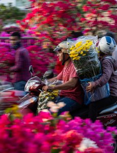 31- Hoa tết 2 – Nguyễn Xuân Thắng