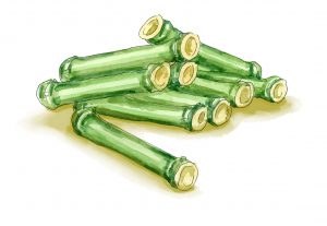 The One Hundred-Knuckled Bamboo