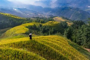 2- Lạc lối ở Sapa – Trương Thiên Bình