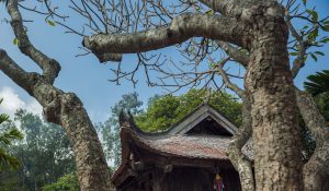 Chạm vào lịch sử