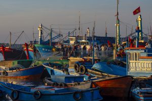 6- Được mùa cá ở Mỹ Tân – Ninh Thuận  – Nguyễn Trung Thành