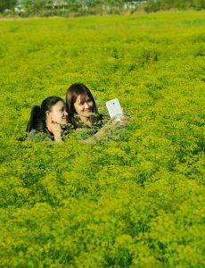 45- Hoa thì là 3 – Huỳnh Mỹ Thuận