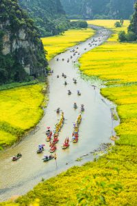 54- Ngày hội non sông – Trần Đại Dương