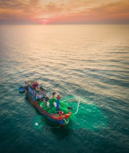 63- Một sớm ngoài biển khơi – Vũ Phi Long