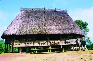 Những đóa hoa dưới mái nhà làng