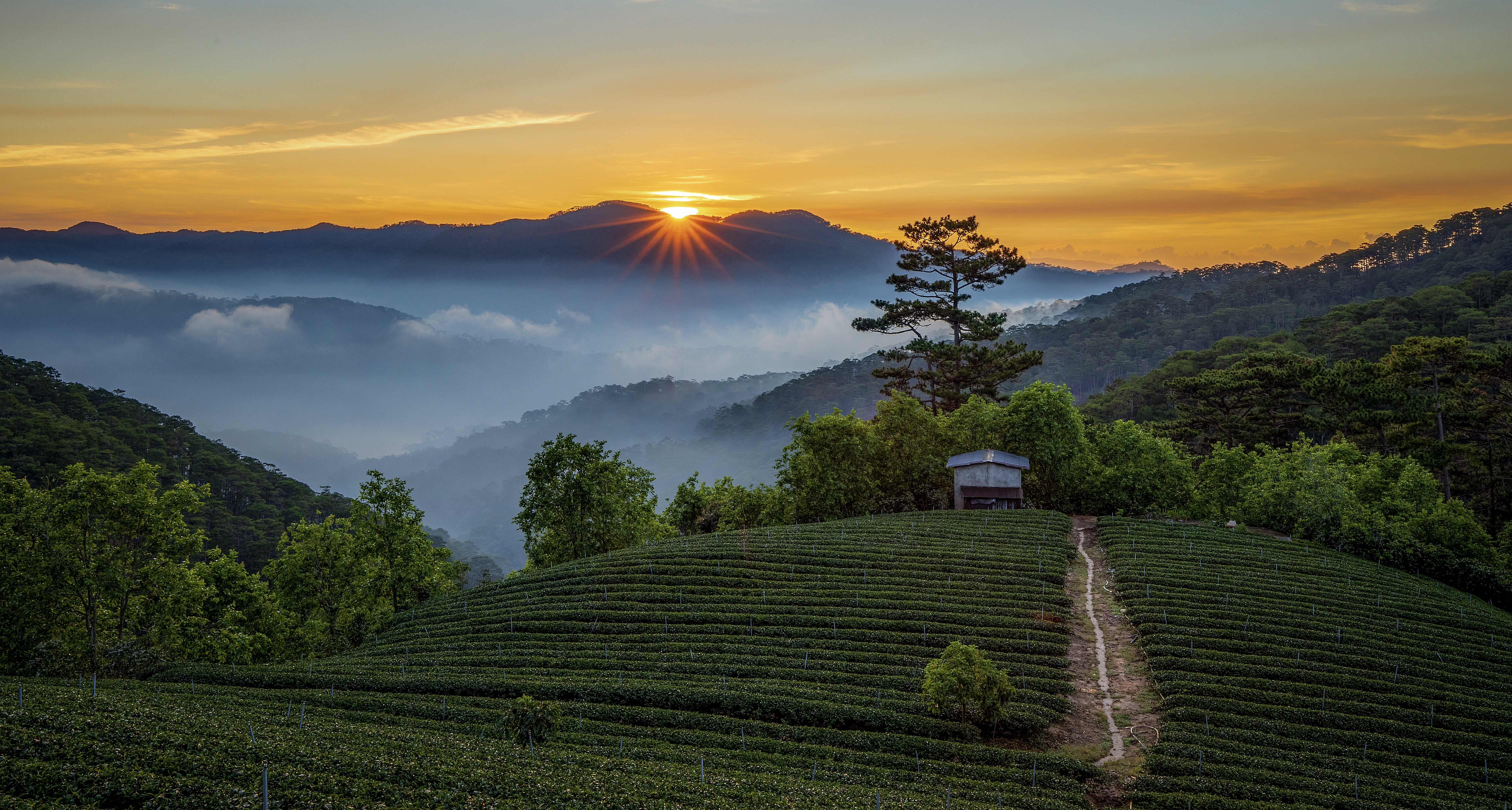 15- Ẩn hiện dưới màn sương – Trần Ngọc Anh