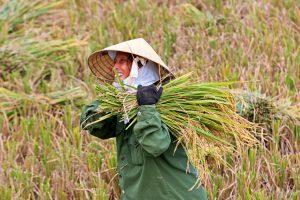 Cho một nền sức khỏe đầy khang kiện