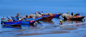 9- Nhịp sống biển Vũng Tàu – Huỳnh Mỹ Thuận