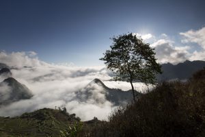 Nét độc đáo trong đám cưới của người Phù Lá