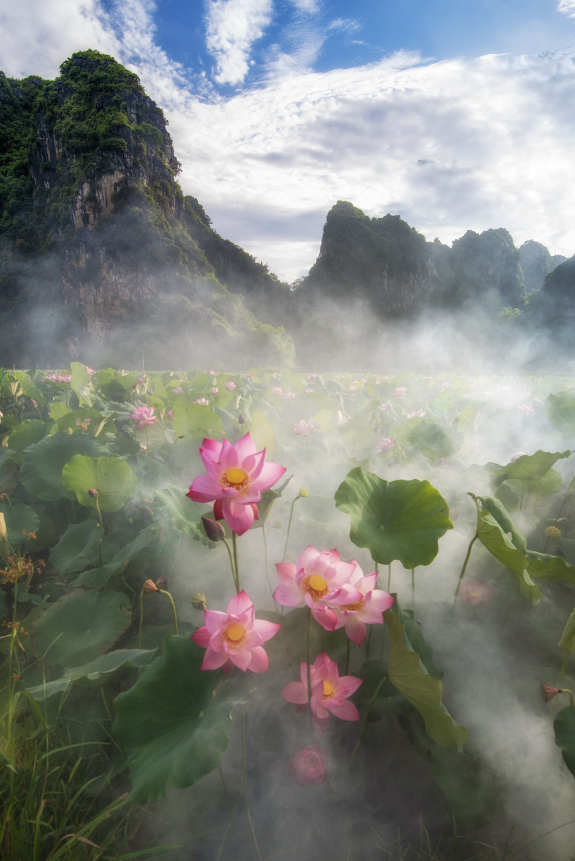 13- Mùa Sen Mỹ Đức – Hoàng Minh Hiếu