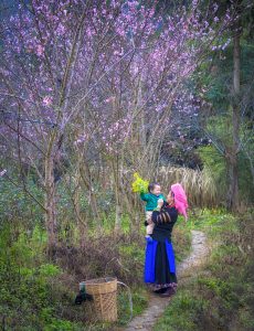 103- Mùa xuân về trên rẻo cao – Nguyễn Ngọc Hoàn