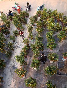 109- Chợ hoa ngày Tết – Nguyễn Đức Nghiêm