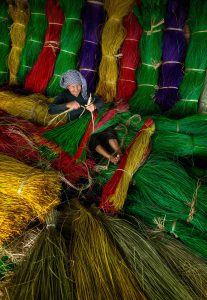 129- Mầu cói – Lê Việt Khánh