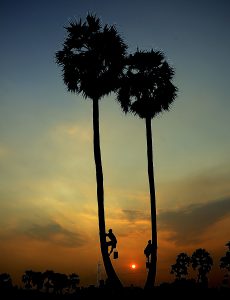 154- Bình minh biên giới – Nguyễn Ngọc Hải