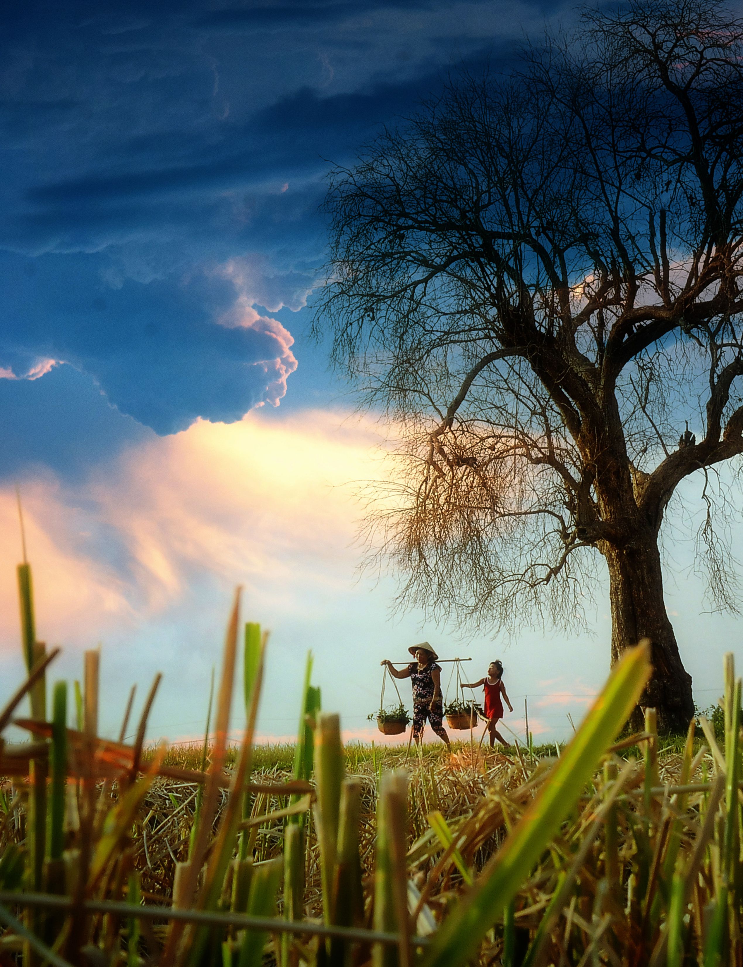 160- Đường quê – Nguyễn Ngọc Hải