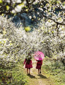 162- Mùa xuân – Nguyễn Xuân Chính