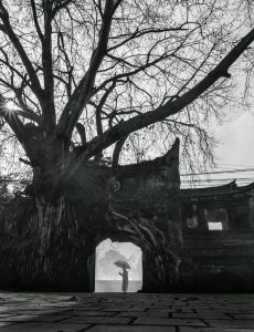 163- Cổng đền Phú Hậu – Nguyễn Xuân Chính