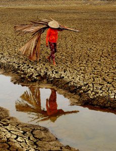 174- Đồng khô – Nguyễn Ngọc Hải