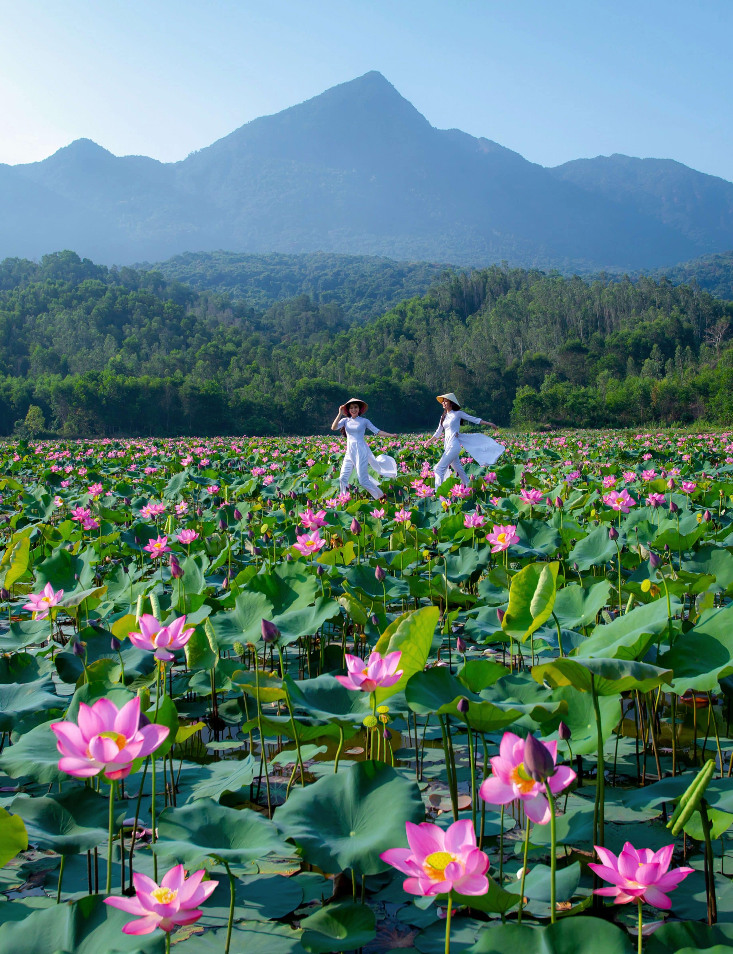 183- Hương sắc Việt – Võ Văn Tiến
