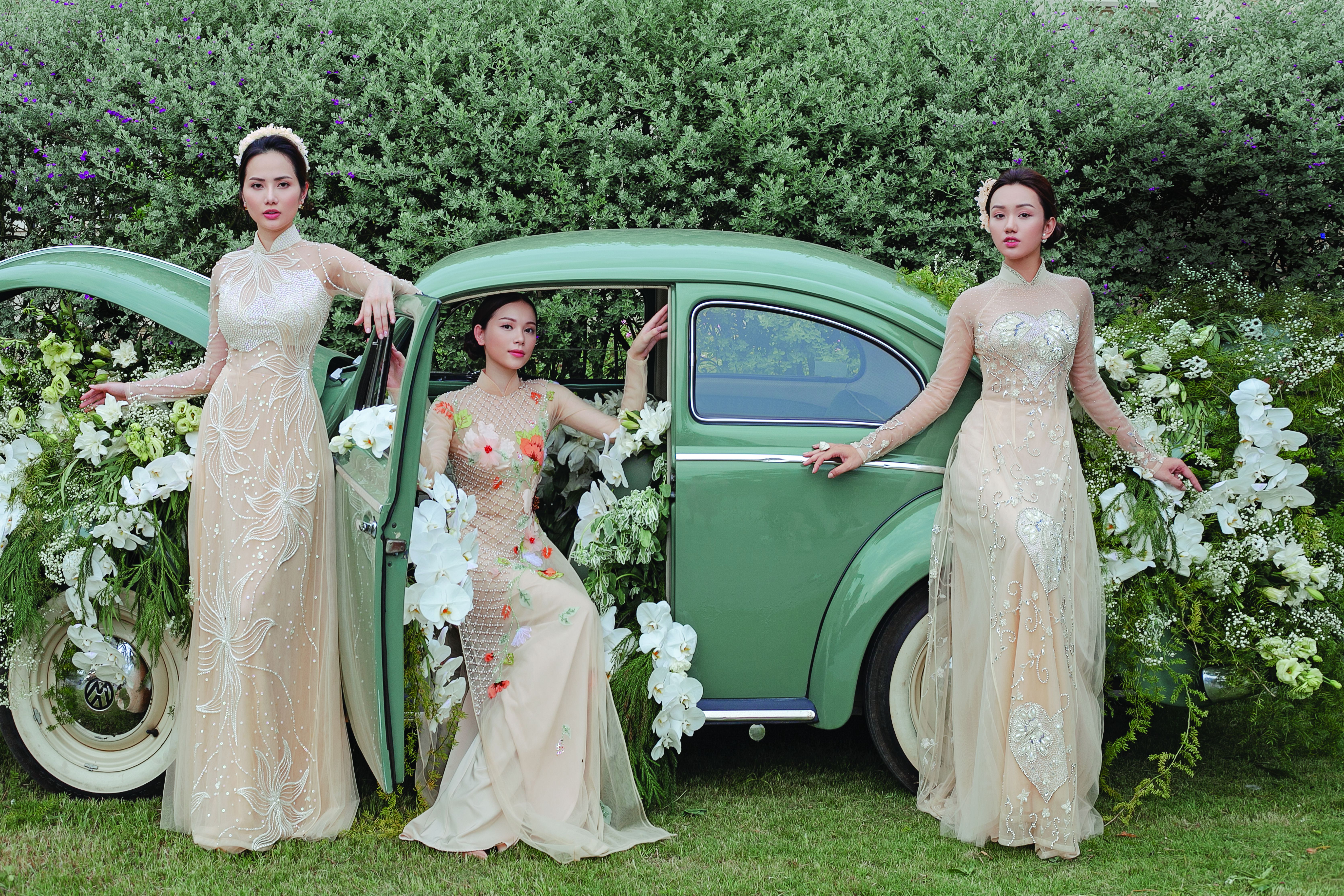 Rung cảm mùa thu