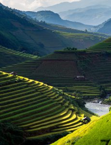 97- Những nấc thang vàng – Nguyễn Đức Phước