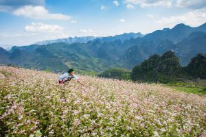 The sky’s the limit