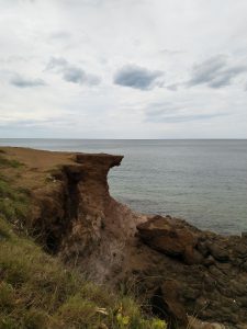 43- Quảng Trị những mầm xanh trên đất lửa – Phạm Đăng Ngọc Vinh