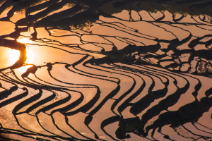 25- Sắc màu Y Tý – Mai Xuân Lợi