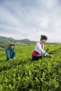 193- Long Cốc trải nghiệm du lịch xanh – Cao Văn Tùng