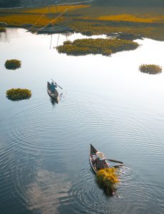 196- Tình quê – Nguyễn Đặng Việt Cường