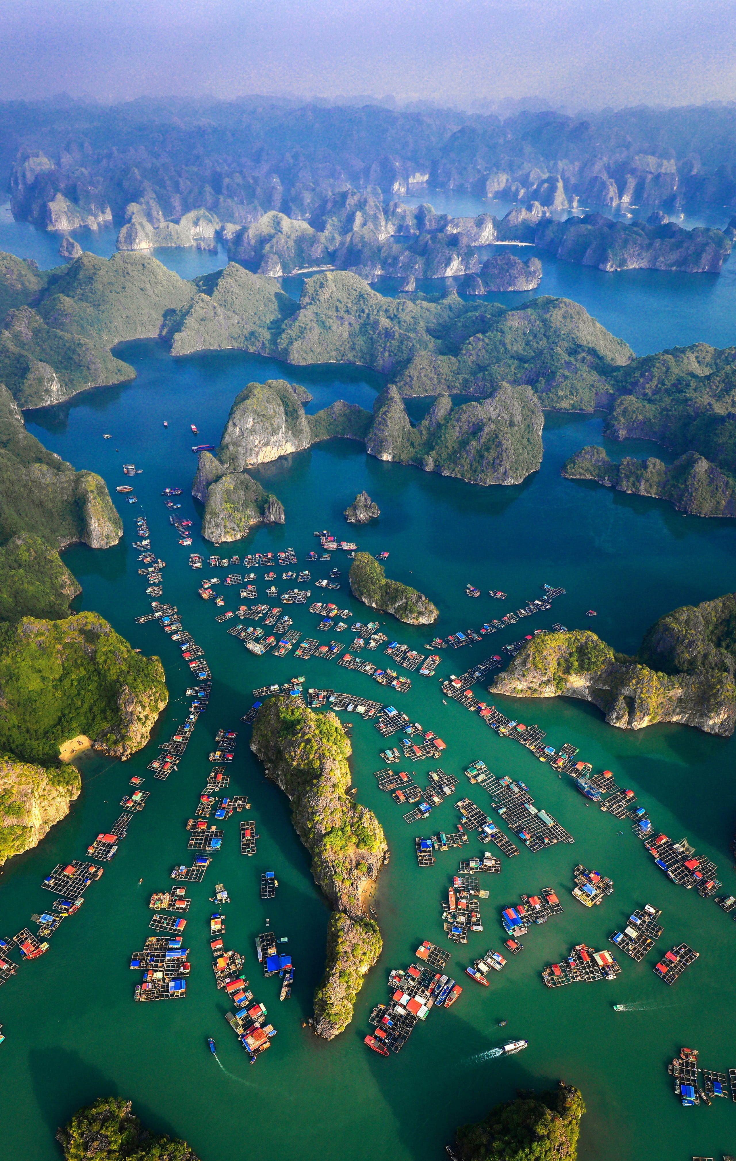 203- Vịnh Lan Hạ – Nguyễn Ngọc Hòa