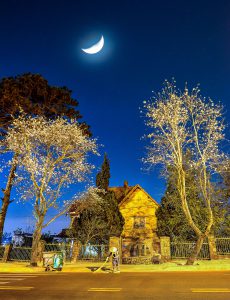 218- Ánh trăng trên hè phố – Nguyễn Ngọc Luân