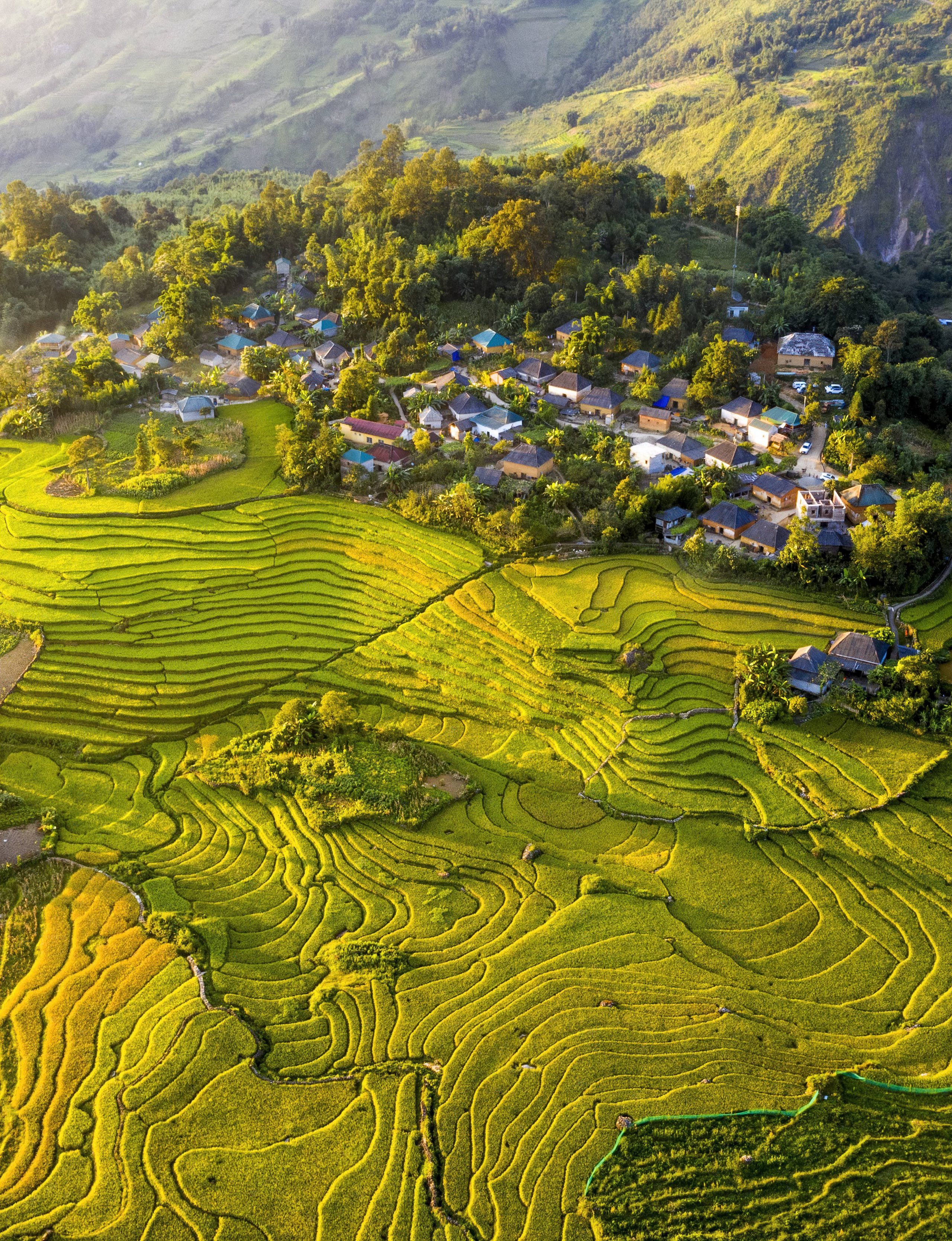 222 – Mùa vàng Choẻn Thèn – Vũ Bảo Ngọc