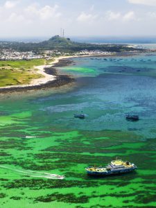 223 – Rạn san hô đảo Phú Quí – Hồ Thị Như Ái