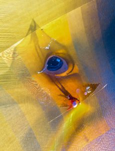 229 – Mắt lưới – Vũ Bảo Ngọc