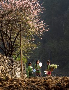 240 – Mùa xuân ở Lao Xa – Vũ Bảo Ngọc