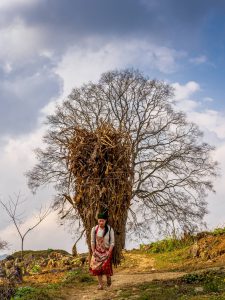 245 – Gánh cả mùa xuân – Vũ Bảo Ngọc