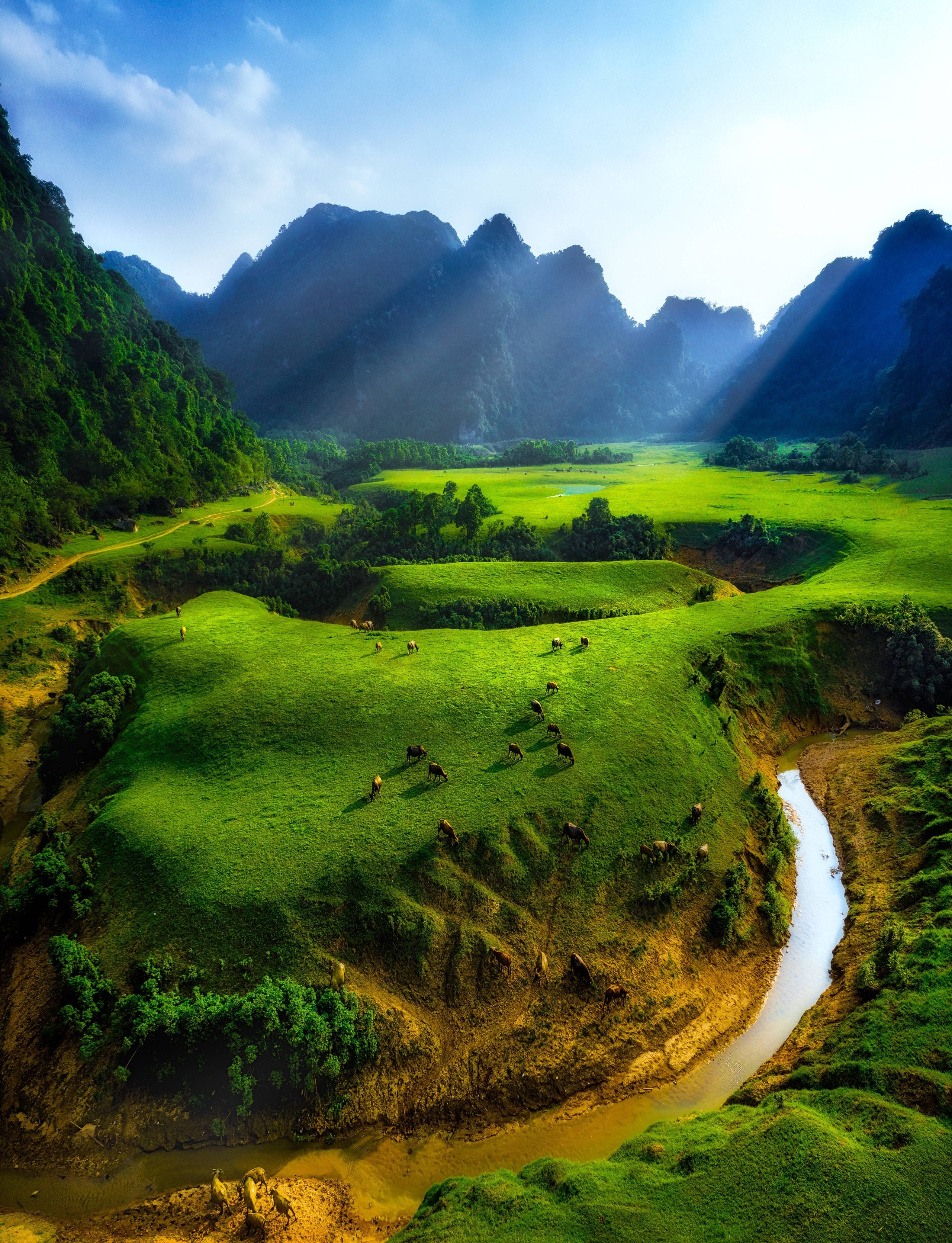 254 – Thảo Nguyên Xanh Đồng Lâm – Nguyễn Minh Tiến