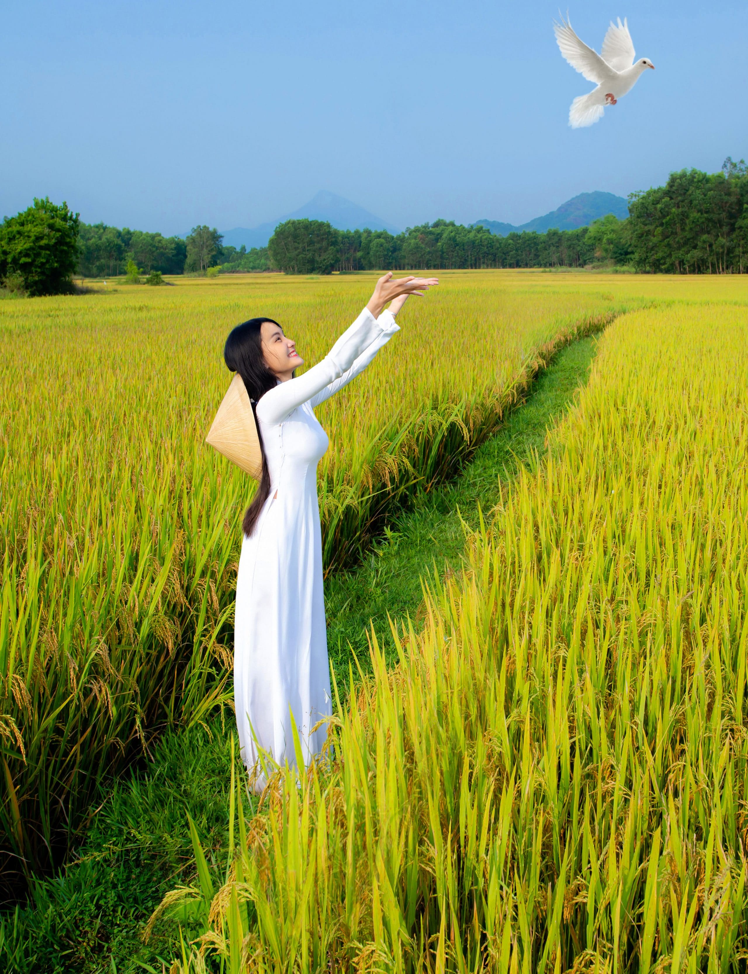 265- Khát vọng hòa bình – Võ Văn Tiến