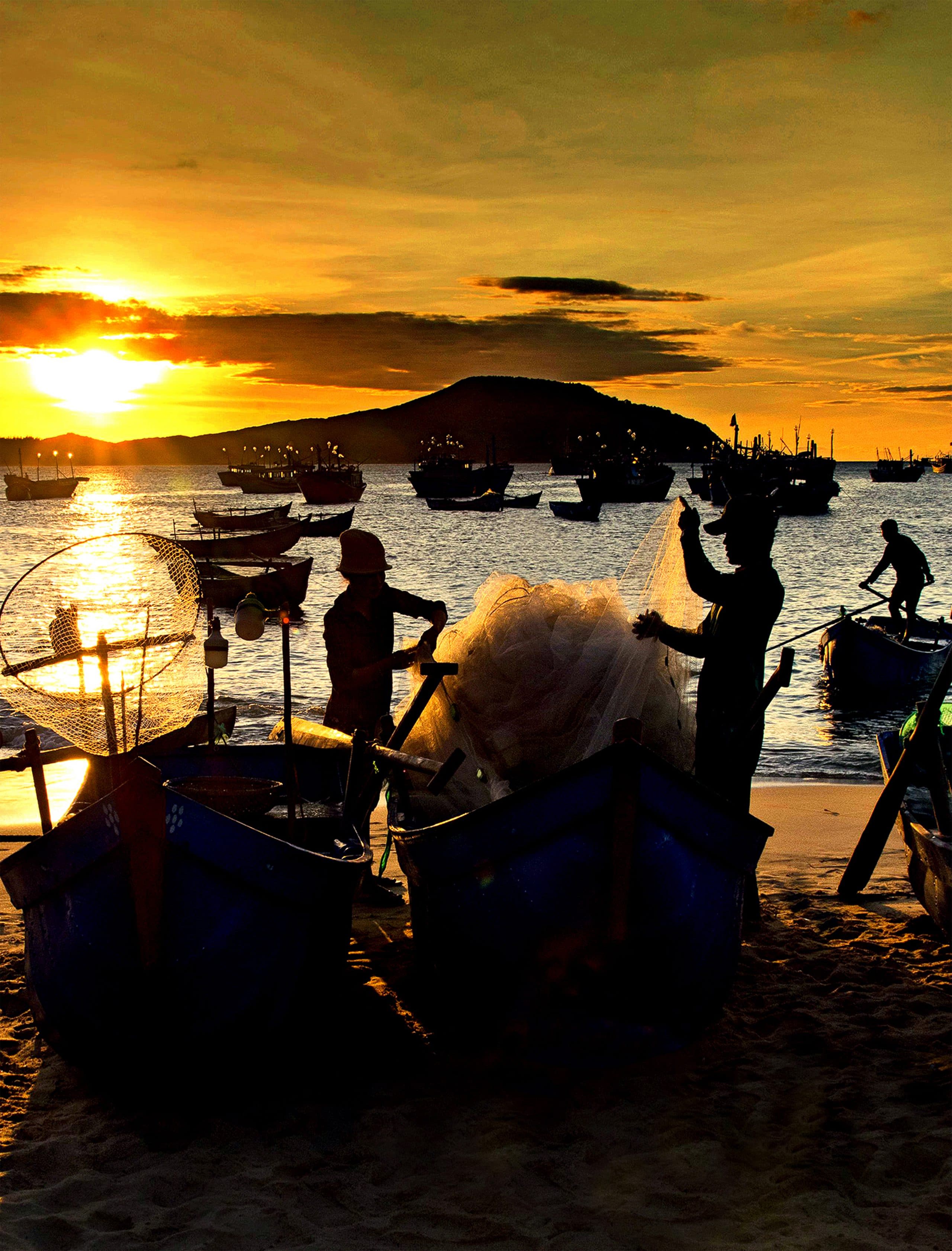 274- Biển sớm – Trần Quỳ