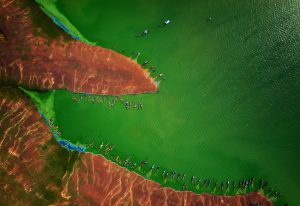 95- Bến Nôm mùa tảo xanh – Nguyễn Tấn Tuấn