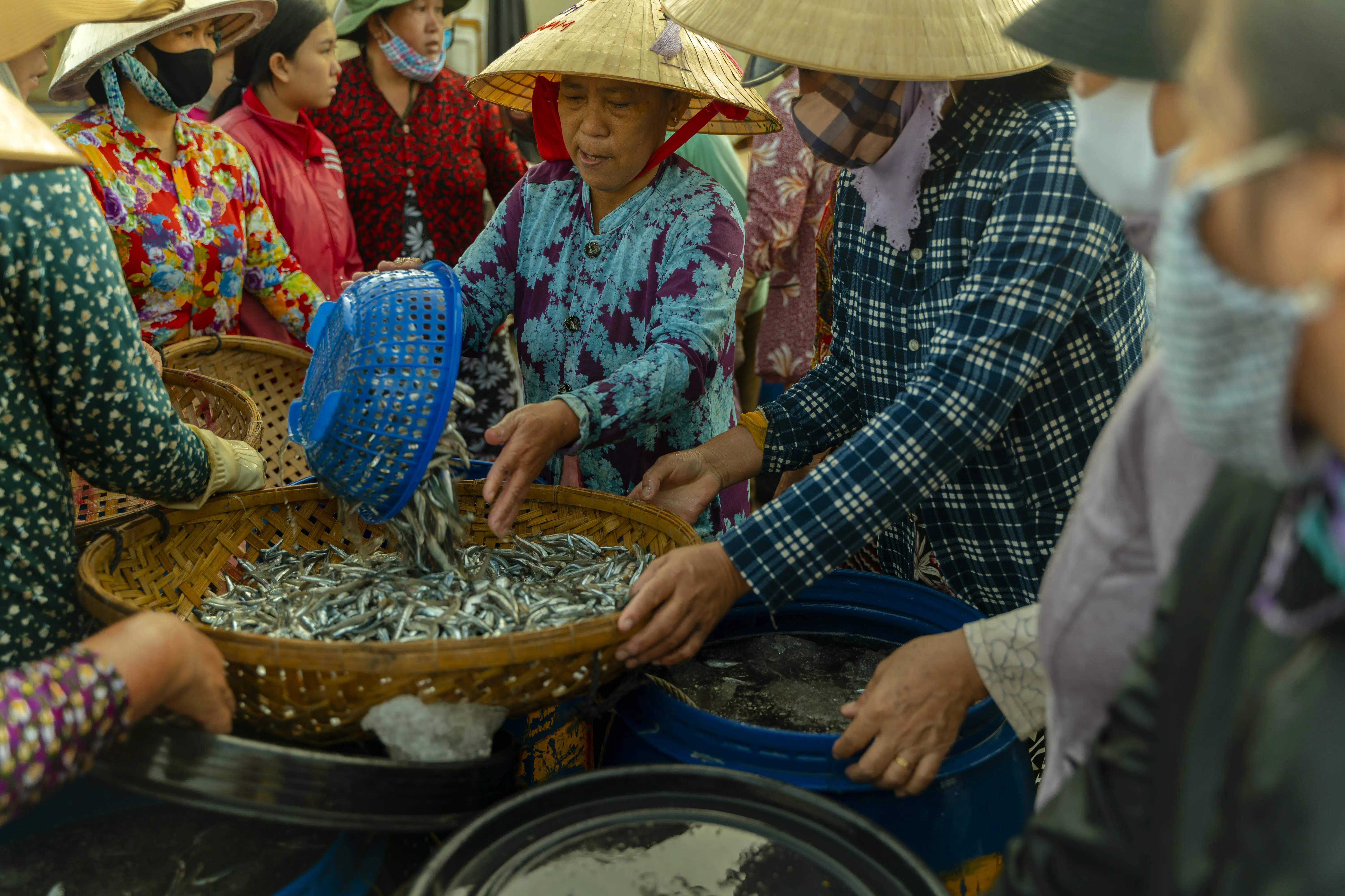 94- Cảng cá cửa bé Nha Trang – Lê Văn Đăng