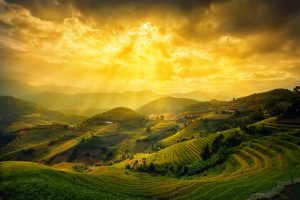 Ai bắc những bậc thang lên trời?